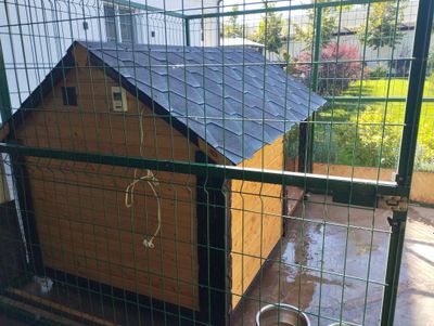 Будка для собаки. Скоро холода, позаботьтесь о вашем питомце