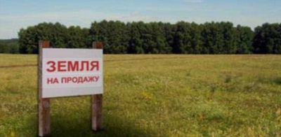 Земля Мирзо Улугбекский район, Амир Темур Махалля