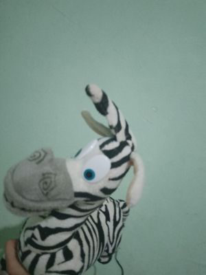 zebra uyinchoq