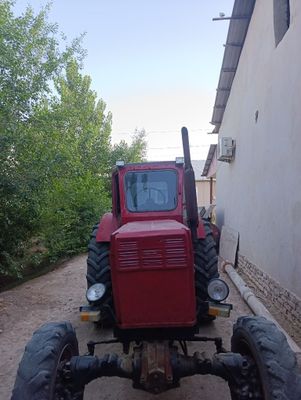 T40 soʻrik tiraxtor