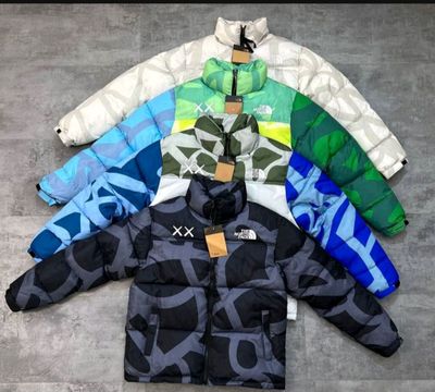 Куртка The North Face x Kaws