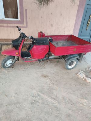 Muraveg rasiski