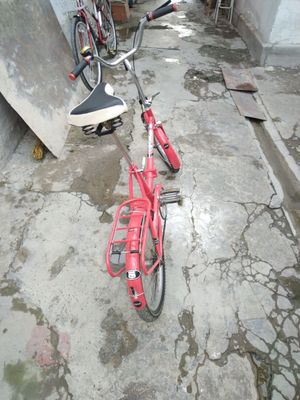 Российская кама новый