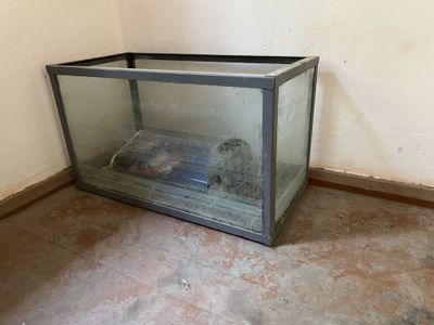 Аквариум для рыб