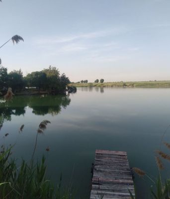Дача у берега моря, для семейного отдыха, парочкам не беспокоить.