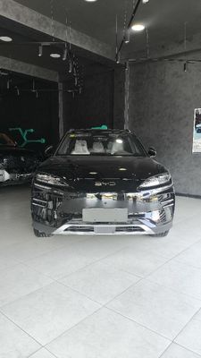 BYD Champion Smart