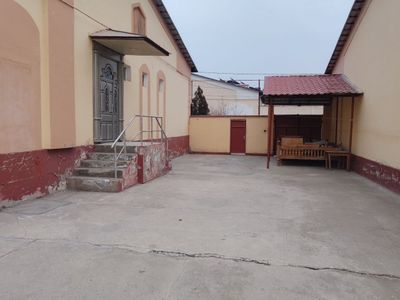 Kotej ijara beriladi sayohatda