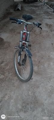 Velik skorsli zor
