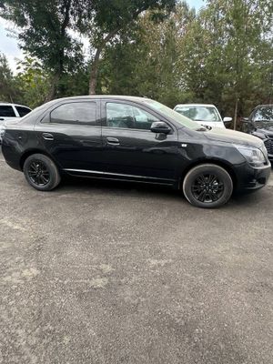 Cobalt midnight 2025