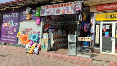 Mushuk korm dastavka hizmati bor