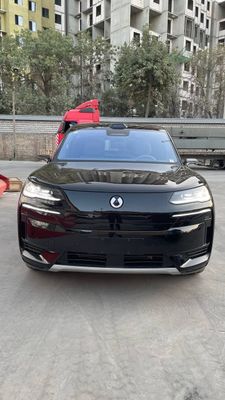 Denza N9 full , доп пакетли (электронный боковой), номига чикади
