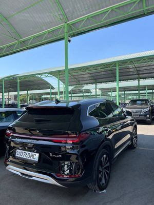 Byd Champion ideal
