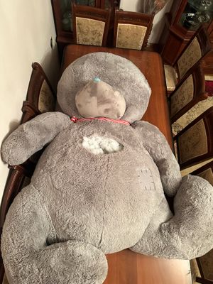 Kotta teddy ayiq sotiladi o’rtasi yirtilgan faqat