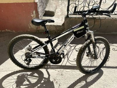 Velik sotiladi 24 razmer