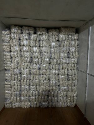 Кукуруза напрямую из производителя любые объёмы