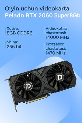 Peladn RTX 2060Super 8GB