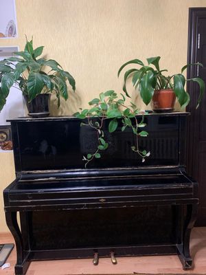Пианино «Беларусь» цена 50$