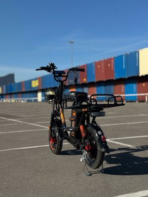 Drongo V5 1000w