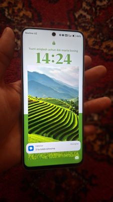 HONOR X9c Smart 8/256