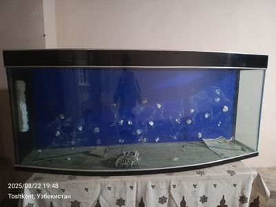 Akvarium 500 litrli butun