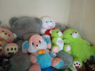 Ayiqlar ayiqchalar teddy