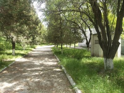 Продается земля под производство 5,5 Га Ангрен