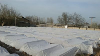 Но турар ер участкаси сотилади 49 сотих тошкент дан 18 км Янгийул тум