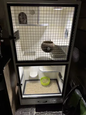 Клетка для шиншилл / витрина для шиншилл