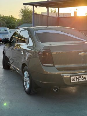 Cobalt zevs 2023
