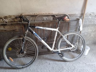 Velosiped yangoi