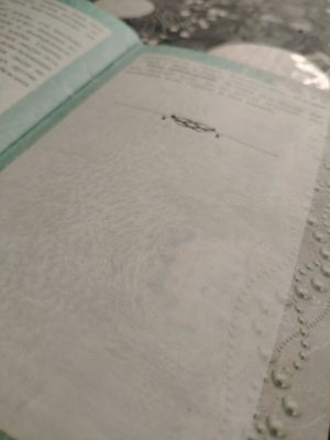 книга (жемчужины океана)