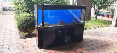 Akvarium sotiladi
