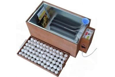 Inkubator blits 72 c8