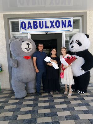 ayiq xizmati qarshi