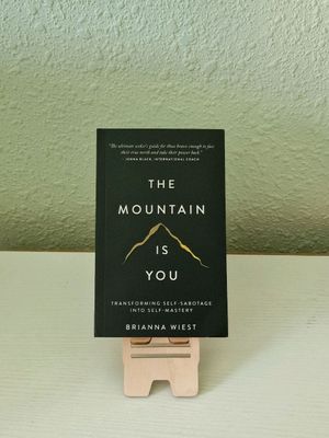 The Mountain is you kitobi