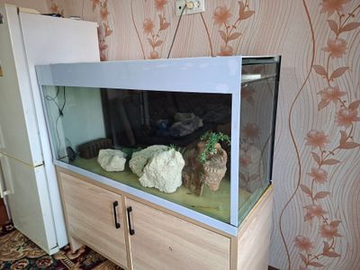 akvariyum