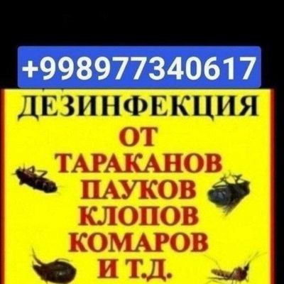 dezinfeksiya klapa tarakan chumoli burga chivin