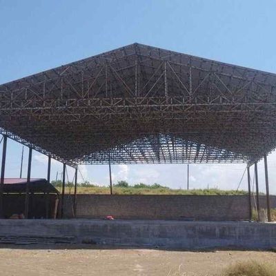 Xar xil turdagi Tom va naveslar quramiz