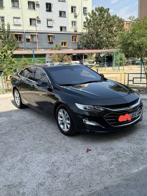 Malibu Premier 2022 Qora toptoza