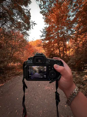 Начинающий фотограф | Уличный стиль