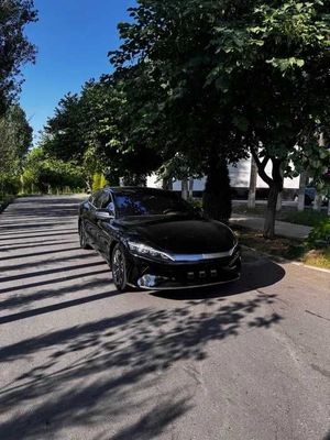 BYD Han nasiyaga