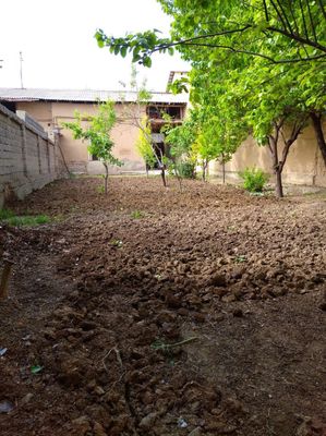 Dormon 2.5 sotix Uchastka sotiladi
