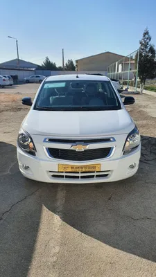 Cobalt midnight 2025