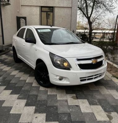 Cobalt midnayt oq Masla yengi