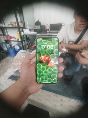 iPhone 12pro Max