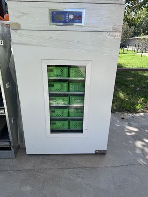 EggBox inkubatori sotiladi