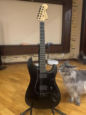 Fender Jim Root Stratocaster USA