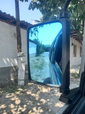 Damas ko'k bakavoy