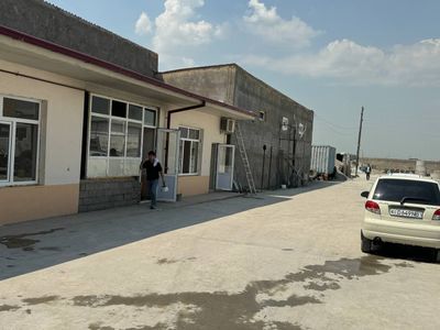 Yangi uzbekiston t obrazka birinchi lina yer sotiladi