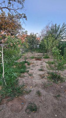 Zarafshon shahar misgarlardan dacha sotiladi.Yashash uchun sharoit bor